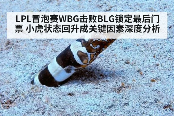 LPL冒泡赛WBG击败BLG锁定最后门票 小虎状态回升成关键因素深度分析